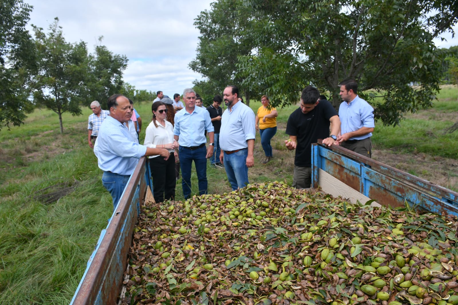 Comercio Exterior: la provincia ya exporta nuez pecán a Emiratos Arabes Unidos, Europa y China